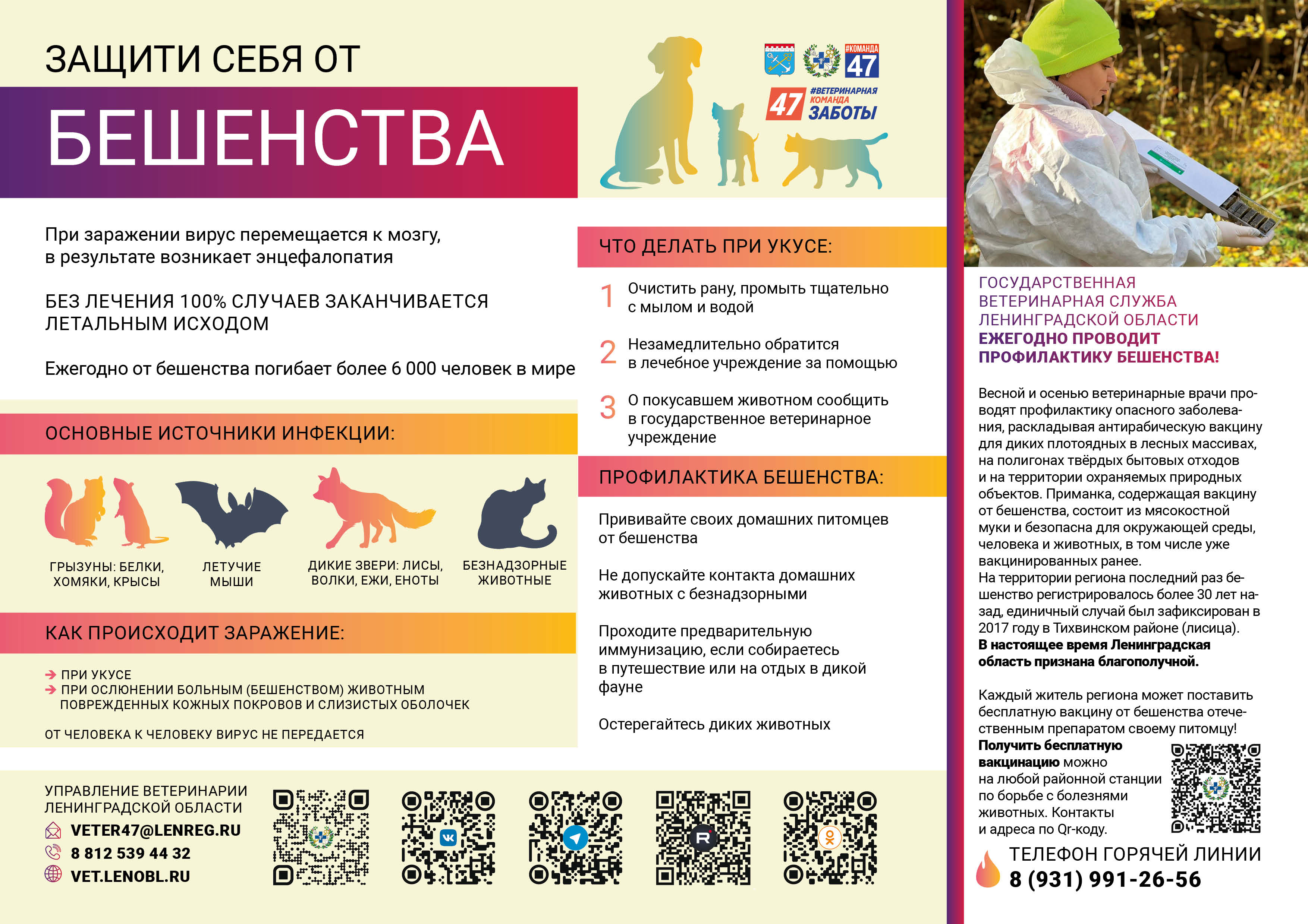 С 1 января 2025 года вступили в силу правила регистрации домашних животных на территории Ленинградской области.