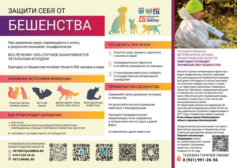 С 1 января 2025 года вступили в силу правила регистрации домашних животных на территории Ленинградской области.